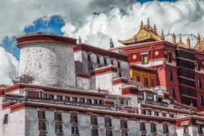 西藏拉萨市城关区幸福社区：“党建＋养老”托起“幸福夕阳红”