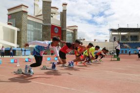 西藏已有学校3195所，其中普通高等学校7所，中职学校12所，中学143所，小学827所