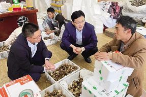西藏邮政惠农助农服务:为生鲜松茸解决销售难、寄递难,