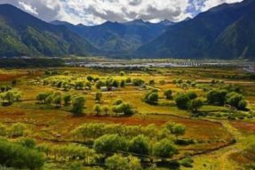 墨脱县背崩乡格林村：风景比童话更美，产业比火焰更旺，人情比蜂蜜更浓