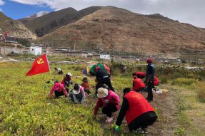 西藏林芝墨脱县：新时代文明实践活动之装扮美丽新家园 巾帼撑起“半边天”