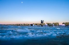 “藏源山南雪域领秀”2021西藏雅砻文化旅游节安徽分会场活动——山南市冬季旅游推广活动在芜湖举行