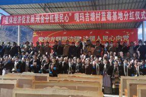 西藏加查县冷达乡嘎玛吉塘村集体经济促增收 现金分红聚民心
