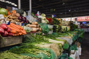 拉萨市农业农村局加强蔬菜春季生产管理