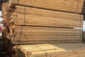 西藏开展木材加工和物流仓储企业消防安全专项整治