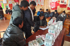 西藏林芝米林县米林镇红太阳家庭科技农场正式开启“发钱”模式
