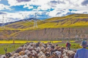 国网西藏电力为乡村振兴精准“充电”