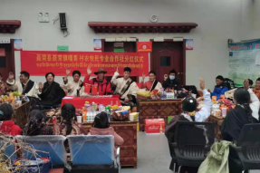 中国人寿西藏分公司驻村工作队：凝心聚力办实事 服务群众见真情