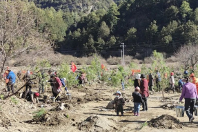 西藏吉隆县开展“地球是我家 绿化靠大家”主题植树造林活动