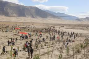 西藏大力开展义务植树造林活动