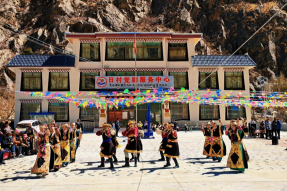 西藏林芝市米林县：办好民生“小实事” 撬动群众“大幸福”