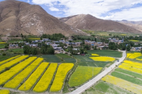 西藏山南：“四好农村路”美了乡村富了群众