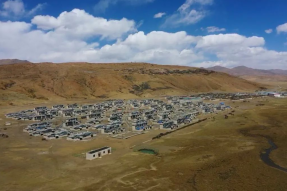 西藏措美县扎杂村：城市里的新牧人