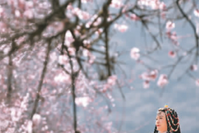 西藏林芝：桃花盛开之地，人与自然和谐共