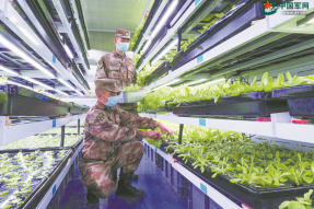 西藏阿里军分区什布奇边防连建起雪山里的“植物工厂”