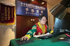 共1112件，中央第四生态环境保护督察组在藏信访受理结束