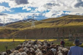 国网西藏电力有限公司助力乡村振兴 西藏农村供电可靠率达99.42%