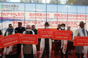 西藏：银担联动 助力乡村振兴