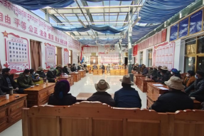 西藏日喀则市桑珠孜区大学生村官当好“五员”助力乡村振兴 贡献青春力量