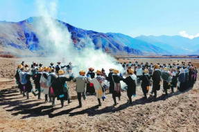 目前西藏春播面积达219.11万亩