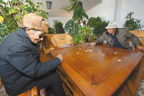 西藏持续推进特色养老服务体系和能力建设