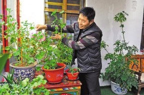 西藏普兰县普兰镇仁贡村：“孔雀”开屏幸福来