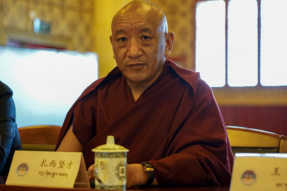扎西坚才：西藏团结稳定 各宗教才能共享昌明