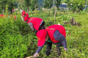 西藏林芝市墨脱县：为民服务无小事 清理杂草焕新颜