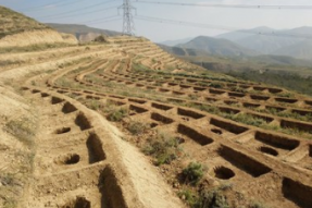 拉萨南北山绿化工程：计划十年时间完成营造林206.72万亩