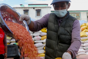 西藏山南 : 良种繁育让克麦群众笑开了颜