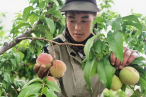 西藏昌都：群山中镶嵌的“绿洲”