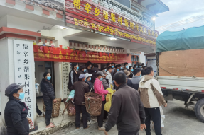 西藏林芝墨脱县：猪仔送到家门口 助力产业暖民心